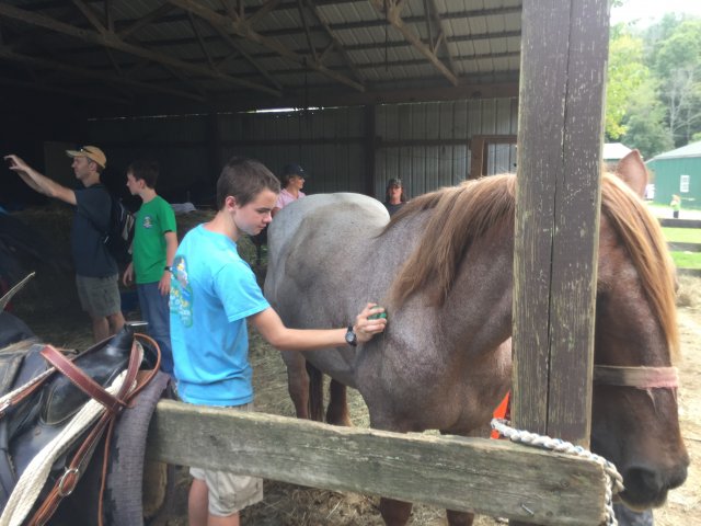 2017 Horseback Riding